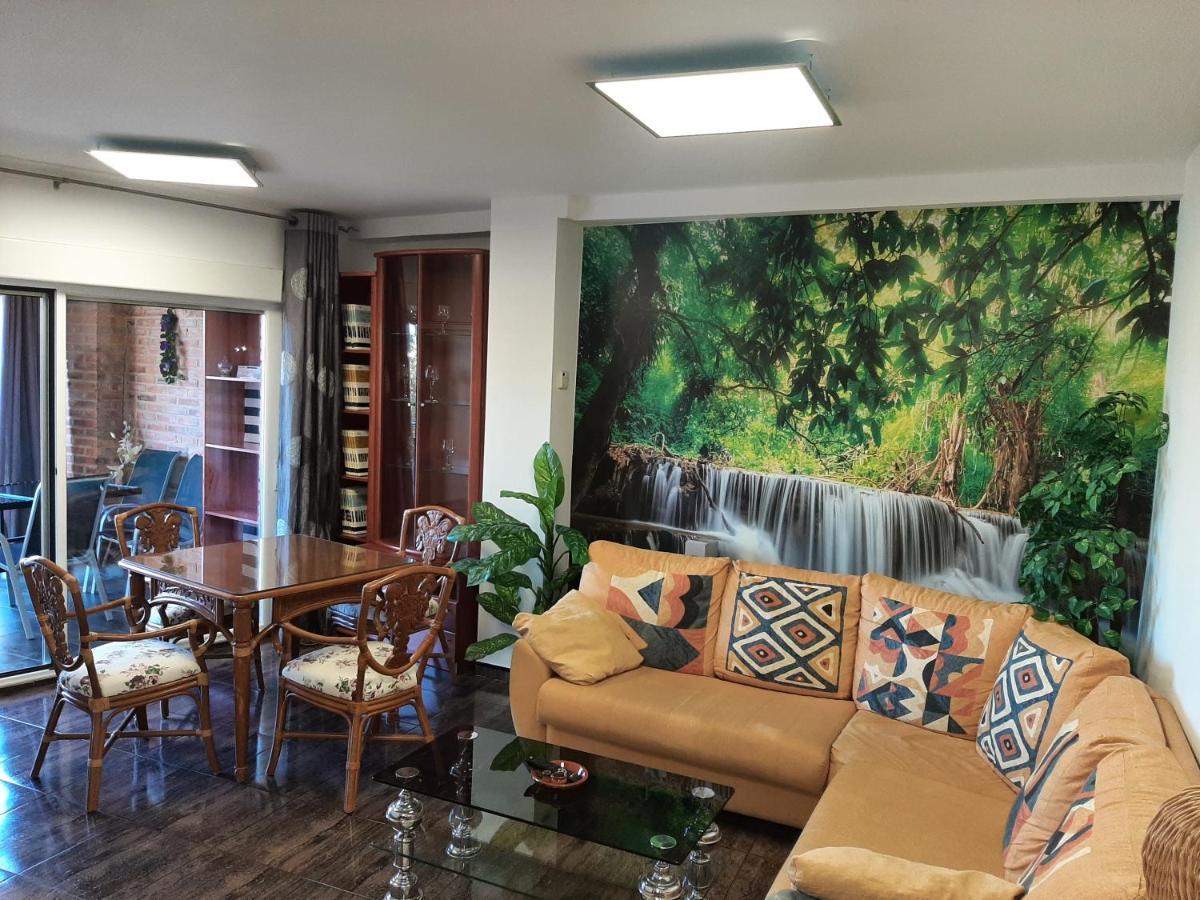 Angel Apartman Zamora Kültér fotó